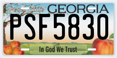 GA license plate PSF5830