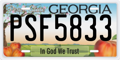 GA license plate PSF5833