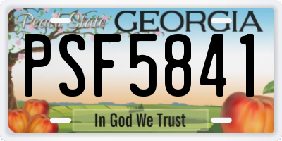 GA license plate PSF5841