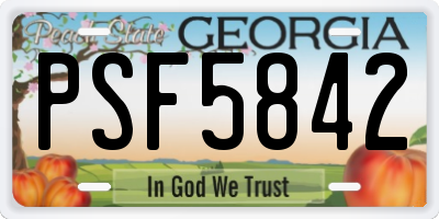 GA license plate PSF5842