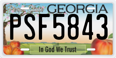 GA license plate PSF5843