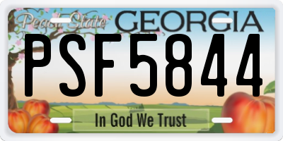 GA license plate PSF5844