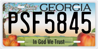 GA license plate PSF5845