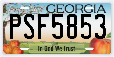 GA license plate PSF5853