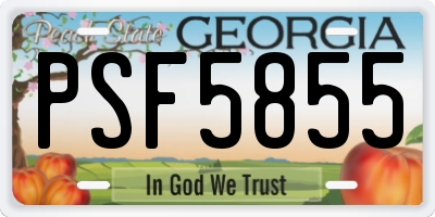 GA license plate PSF5855