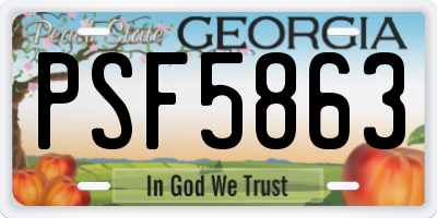 GA license plate PSF5863