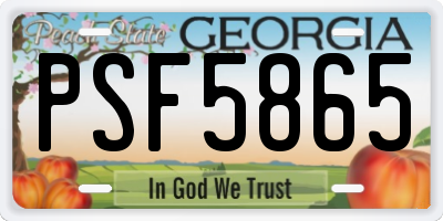 GA license plate PSF5865