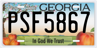 GA license plate PSF5867