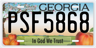 GA license plate PSF5868