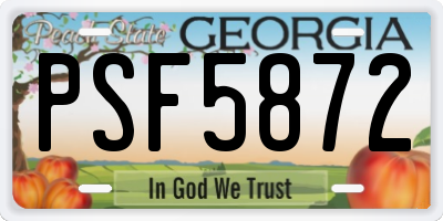 GA license plate PSF5872