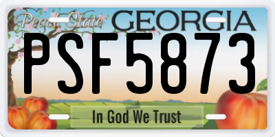 GA license plate PSF5873