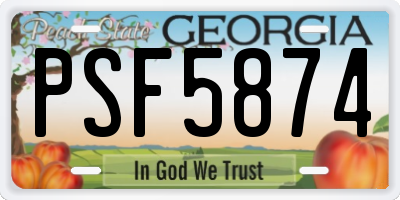 GA license plate PSF5874
