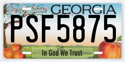 GA license plate PSF5875