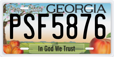 GA license plate PSF5876