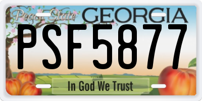 GA license plate PSF5877