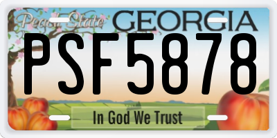 GA license plate PSF5878