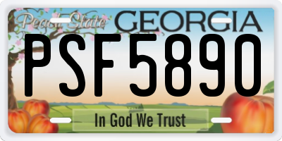 GA license plate PSF5890