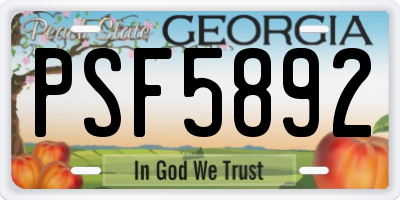 GA license plate PSF5892