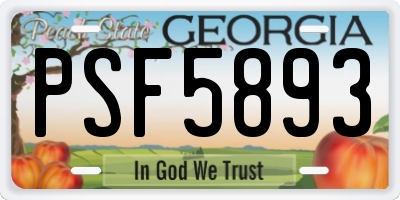 GA license plate PSF5893