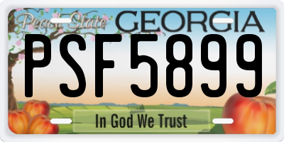 GA license plate PSF5899