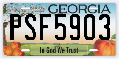 GA license plate PSF5903