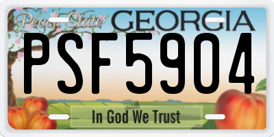 GA license plate PSF5904