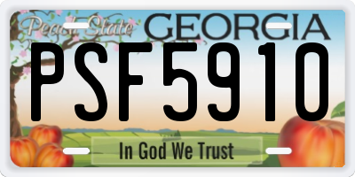 GA license plate PSF5910