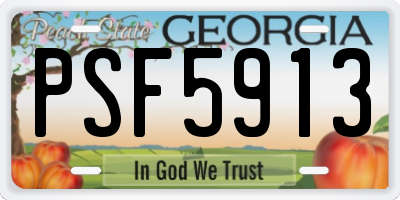 GA license plate PSF5913