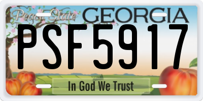 GA license plate PSF5917