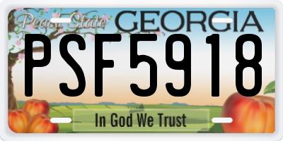 GA license plate PSF5918