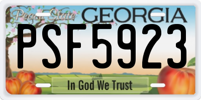 GA license plate PSF5923