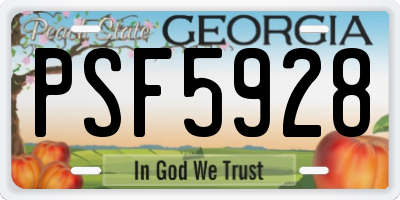 GA license plate PSF5928
