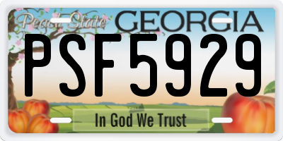 GA license plate PSF5929