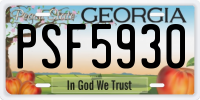 GA license plate PSF5930