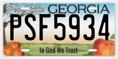 GA license plate PSF5934