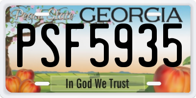 GA license plate PSF5935