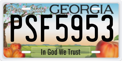 GA license plate PSF5953