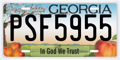 GA license plate PSF5955