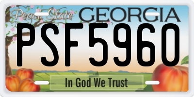 GA license plate PSF5960