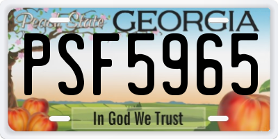 GA license plate PSF5965