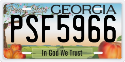 GA license plate PSF5966