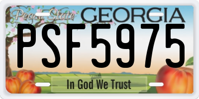 GA license plate PSF5975