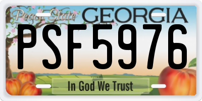GA license plate PSF5976
