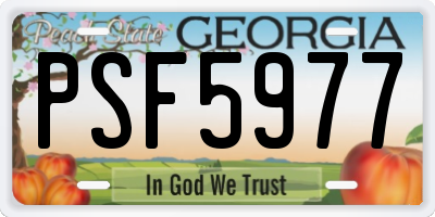 GA license plate PSF5977