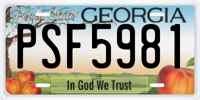 GA license plate PSF5981
