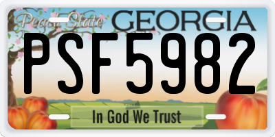GA license plate PSF5982