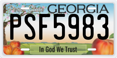 GA license plate PSF5983
