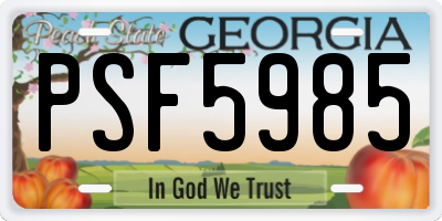 GA license plate PSF5985