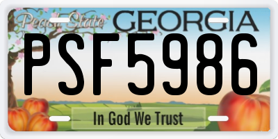 GA license plate PSF5986