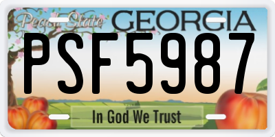 GA license plate PSF5987